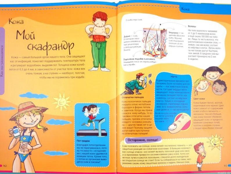 Разворот книги "Тело человека. Нескучная анатомия" с информацией о коже