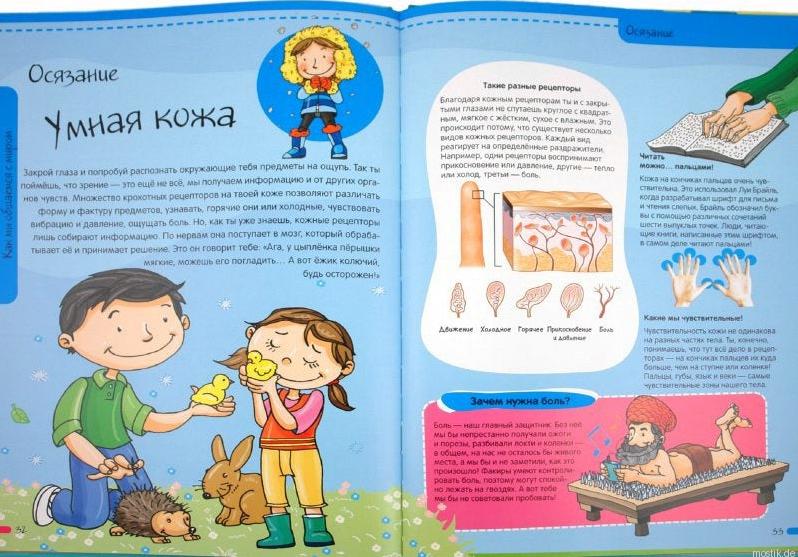 Разворот книги "Тело человека. Нескучная анатомия" с информацией об органах чувств