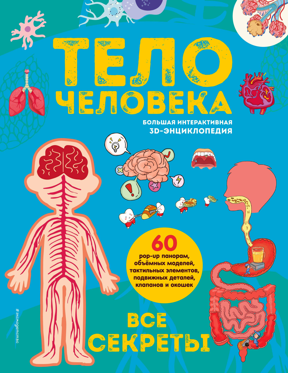 Обложка энциклопедии «Тело человека. Все секреты» с анатомическими иллюстрациями