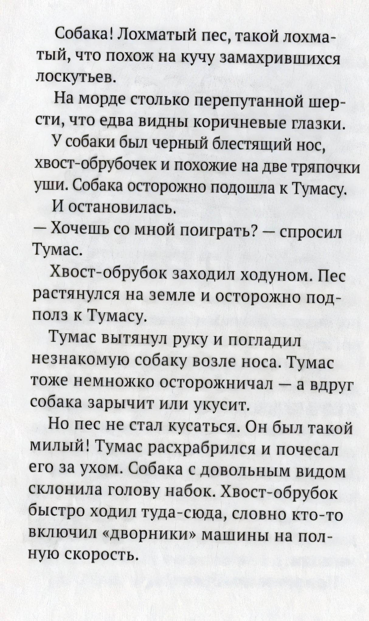 Страница с текстом о знакомстве Тумаса с лохматой собакой.