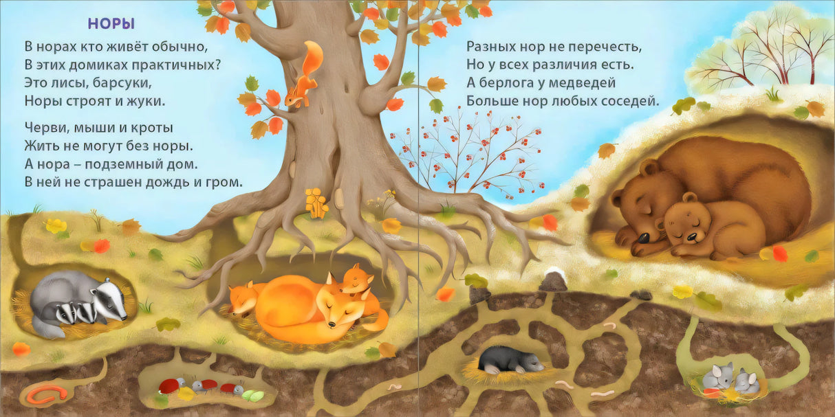 Книжки - картонки. Удивительные дома животных 978-5-4366-0786-3 - 3