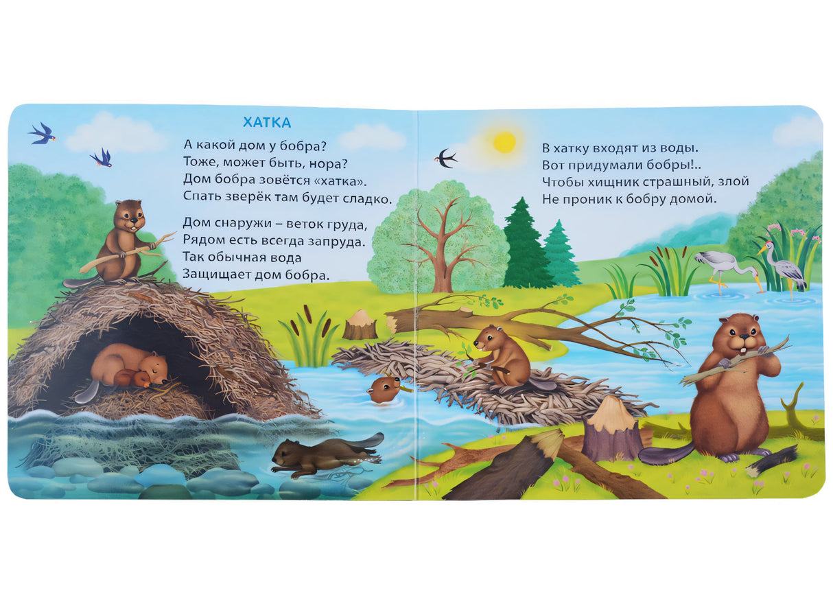 Книжки - картонки (бол). Удивительные дома животных 9785436607863