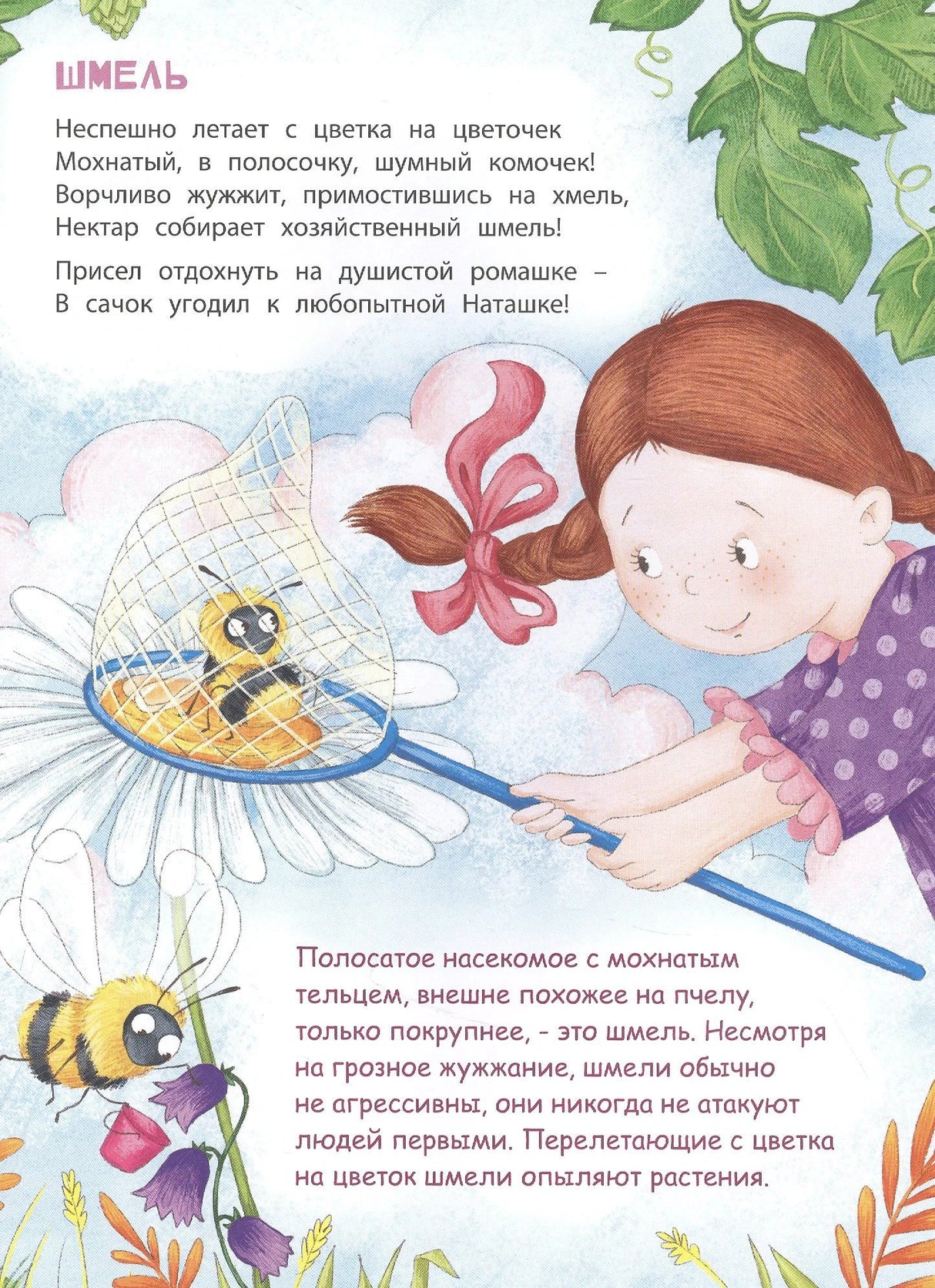 Страница «Шмель»: девочка ловит шмеля сачком на ромашке