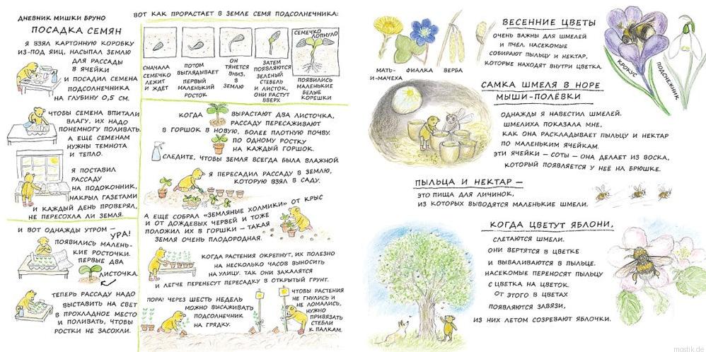 Развивающая детская книга о весне: Мишка Бруно узнаёт о первых весенних цветах.