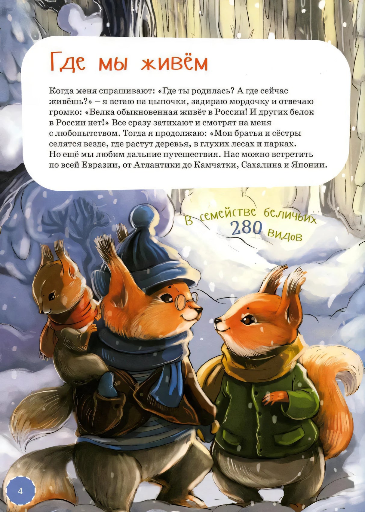 Я белка null - 2