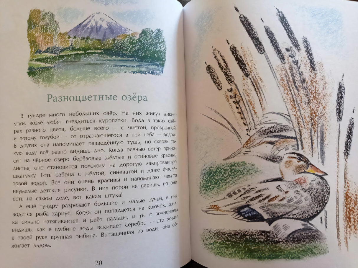 Заяц в море. Рассказы о северной Камчатке 978-5-907501-41-6, 978-5-907684-89-8, 978-5-91786-032-9 - 8