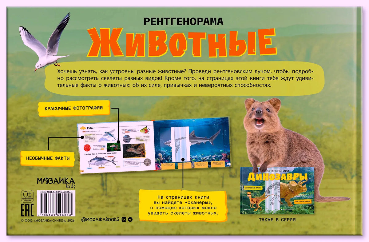 Задняя обложка с описанием книги, примерами разворотов и капибарой.