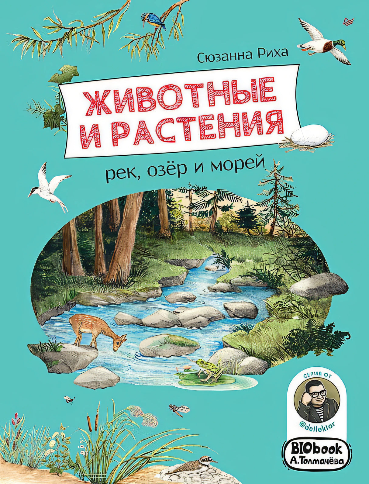 Обложка Животные и растения рек, озер и морей. BIObook А. Толмачева 978-5-00116-658-0