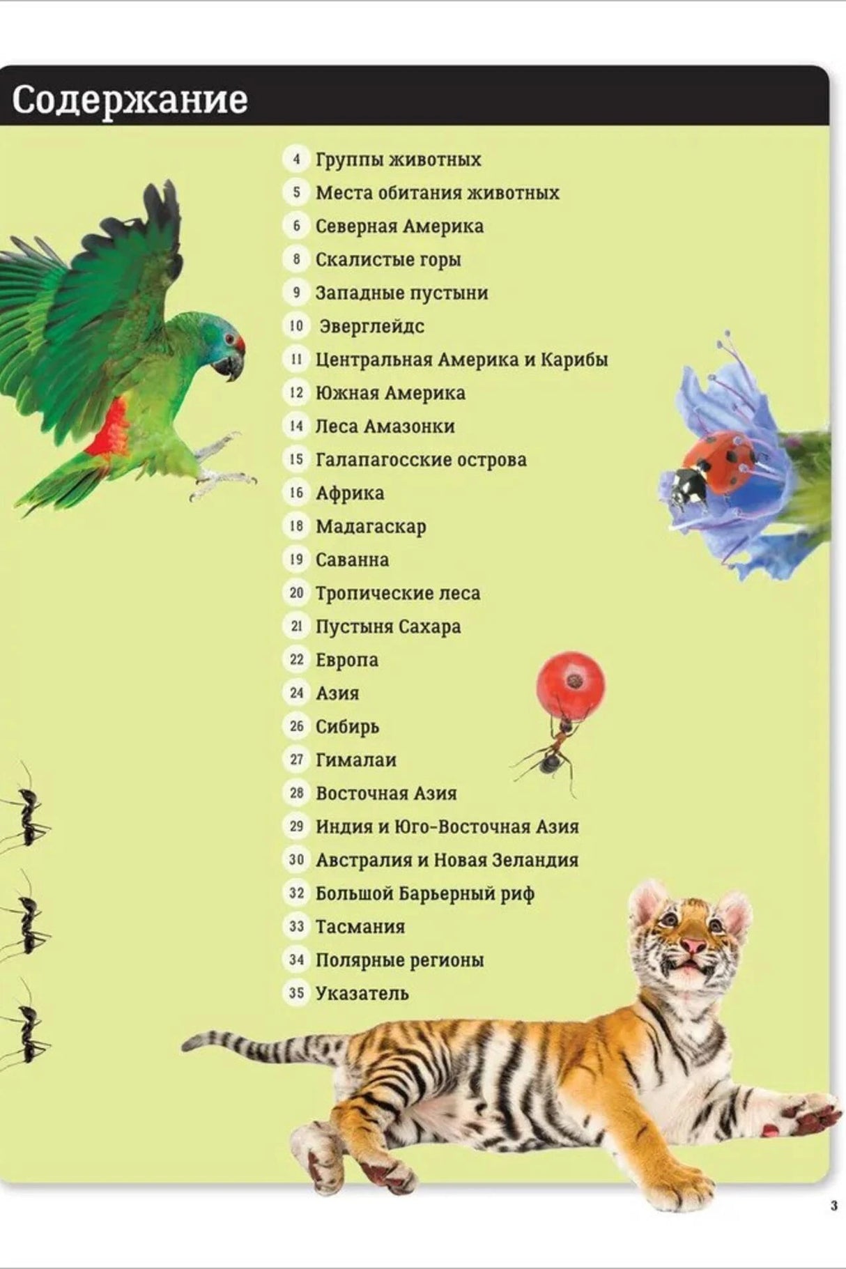 Страница содержания детского атласа с попугаем, тигрёнком и перечнем разделов