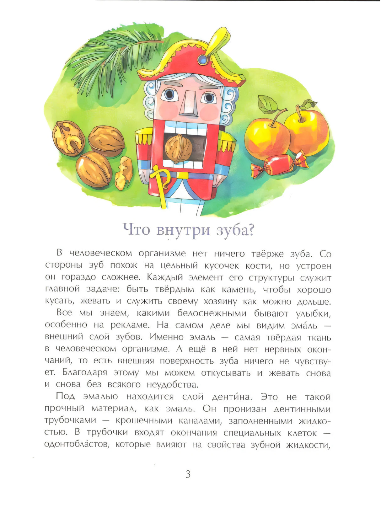 Страница 3 «Что внутри зуба?» с Щелкунчиком, орехами и текстом