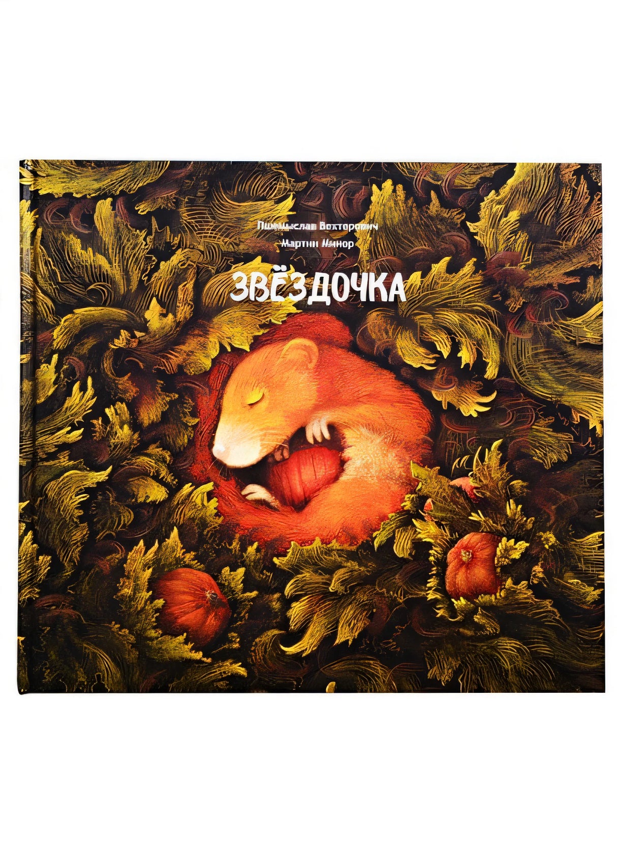 Обложка Звездочка 978-985-15-4742-1