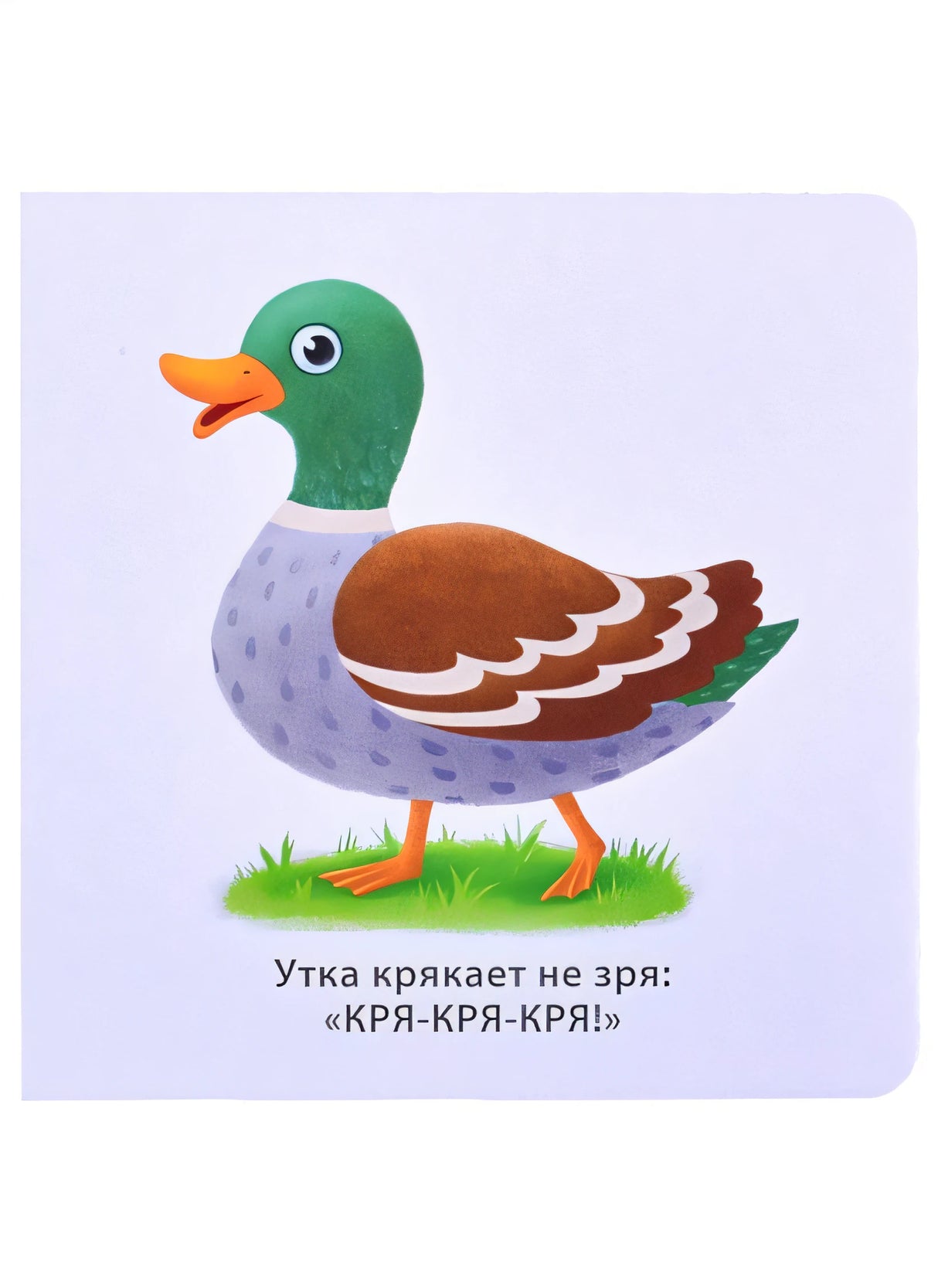 Звукоподражалки 978-5-4366-0753-5 - 1