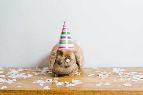 🎉 Мостику 1 год!