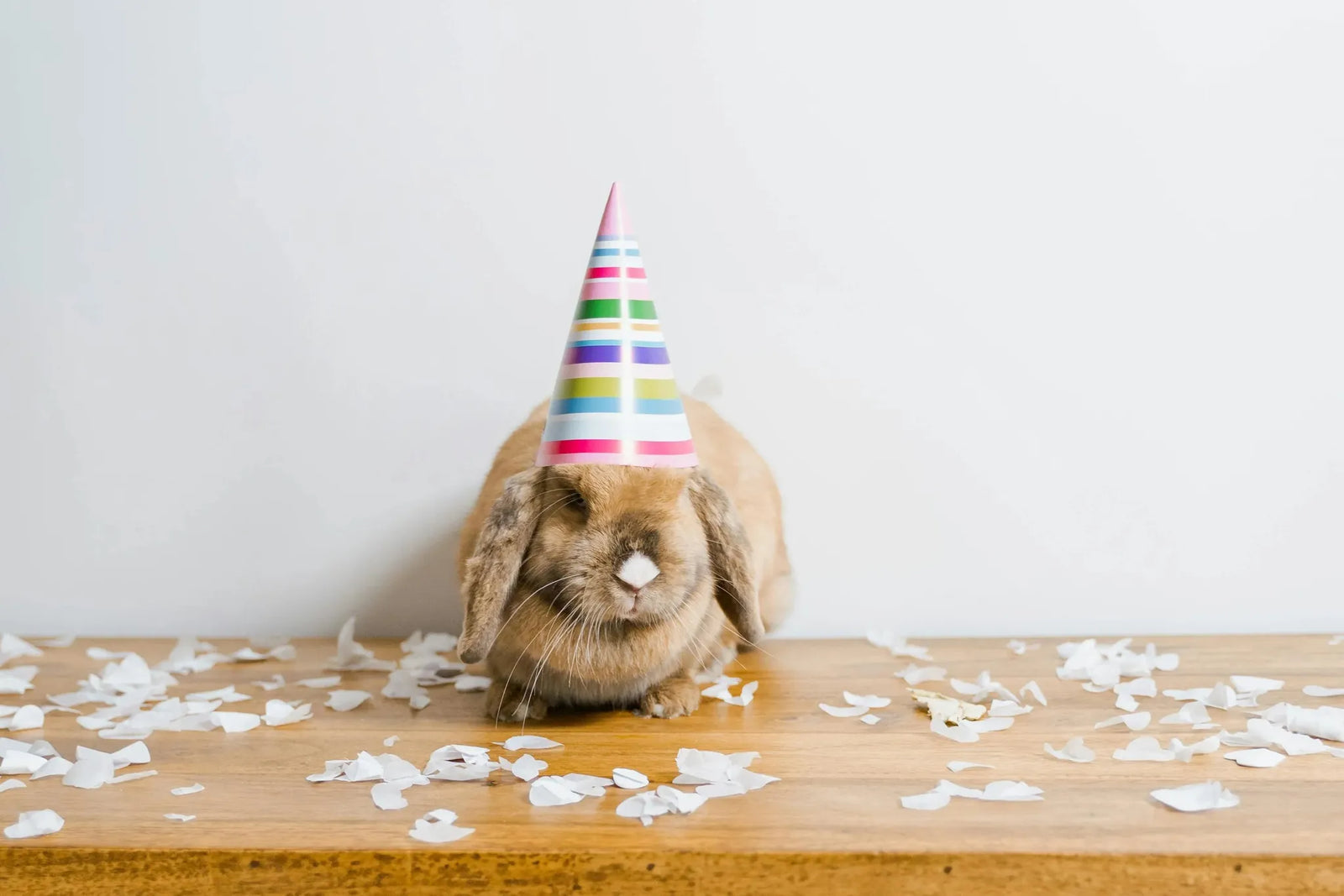 🎉 Мостику 1 год!