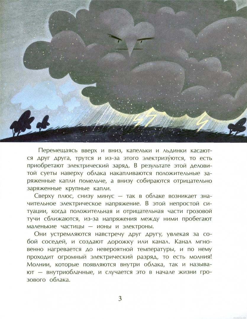 Иллюстрация из книги "Гром и молния. Небесное электричество": объяснение образования молний в грозовой туче.