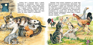 Приключения котёнка