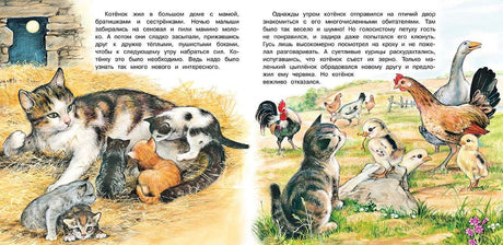 Приключения котёнка