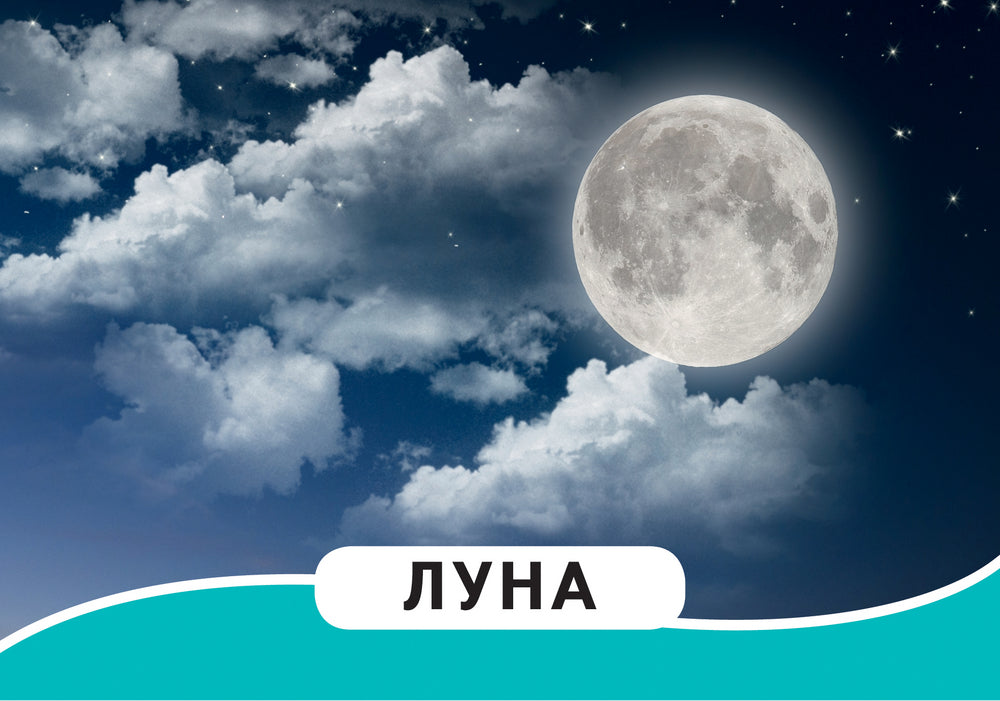 Мир вокруг (Разв.карточки 0+) 4680274012952