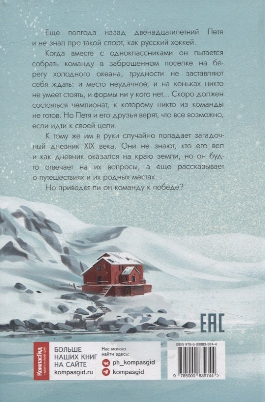 Неудачники — команда мечты 9785000839744