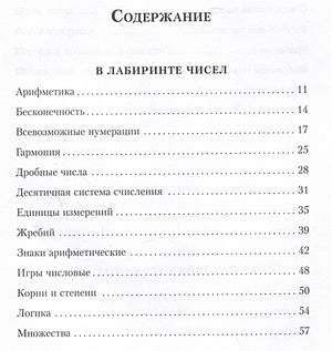 Приключения в мире чисел. Две математические повести 978-5-00108-982-7 - 4