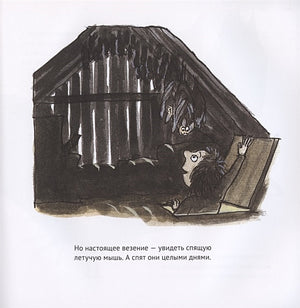 Удивительные летучие мыши 978-5-00114-103-7 - 2