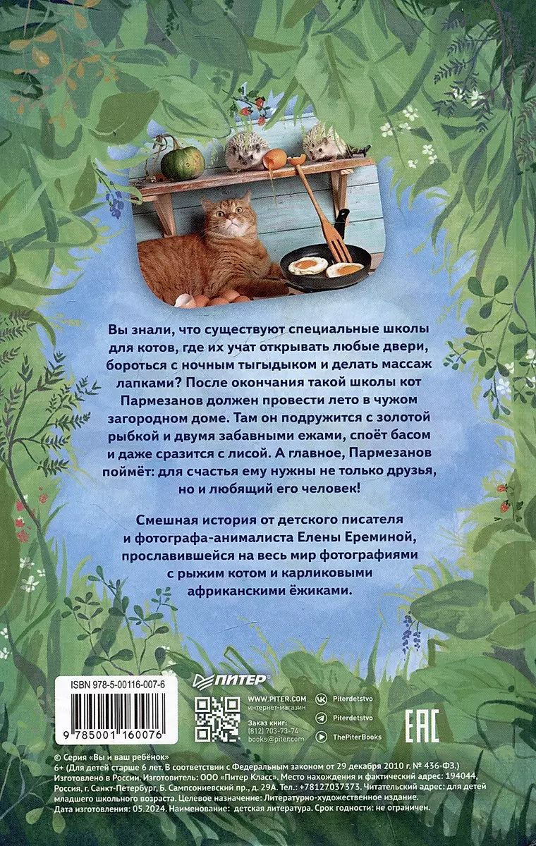 Лето кота Пармезанова 9785001160076