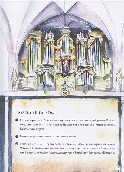 Приключения мышонка Недо в Калининграде, или квест мышиного короля 978-5-00116-482-1 - 0