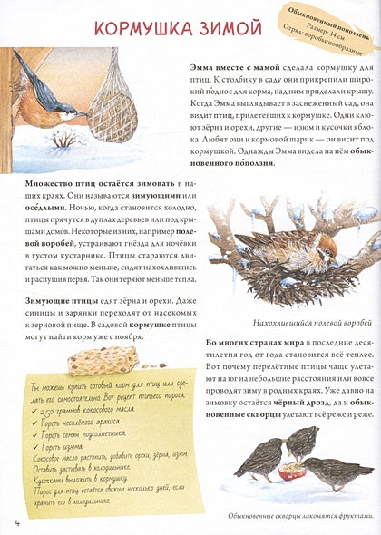 Книга о птицах. BIObook А. Толмачёва 978-5-00116-691-7 - 1