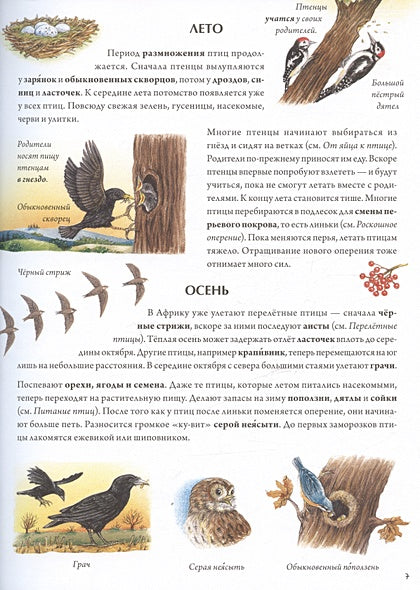 Книга о птицах. BIObook А. Толмачёва 978-5-00116-691-7 - 4