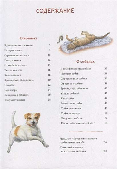 Моя самая красивая книга о кошках и собаках 978-5-00116-692-4 - 1