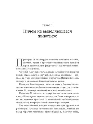 Sapiens. Краткая история человечества 9785001313724