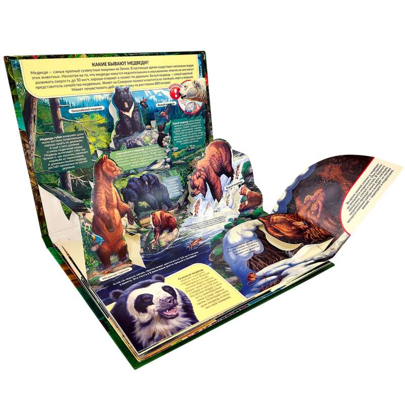POP UP энциклопедия. Хищники книжка-панорамка 9785001347262