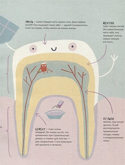 Тайная жизнь зубов 978-5-00167-433-7 - 1