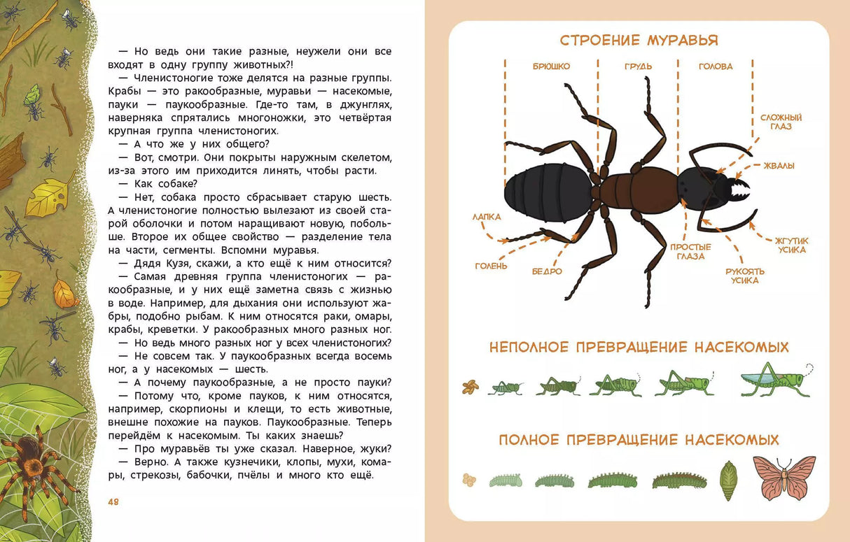 Животные. Детская энциклопедия (Чевостик) 9785001954187