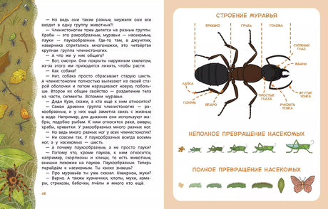 Животные. Детская энциклопедия (Чевостик) 9785001954187