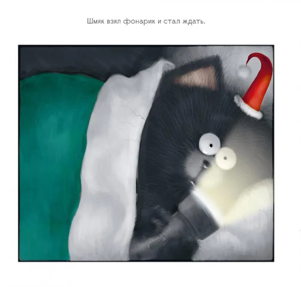 С Новым годом, Шмяк! Книжка с наклейками 9785002114382