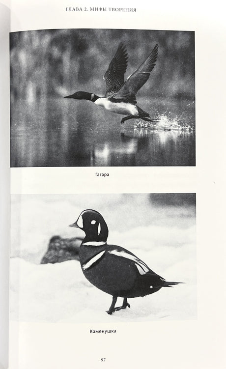 Мифы северных народов России. От творца Нума и ворона Кутха до демонов кулей и злых духов кана 978-5-00214-192-0 - 4