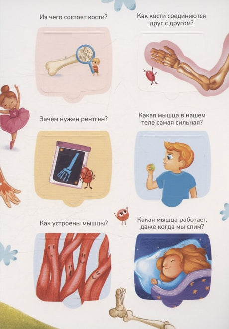 Знания в окошках. Наше тело 9785002302048