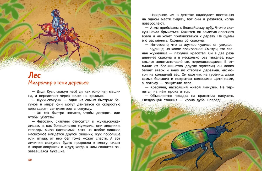 Насекомые и пауки. Детская энциклопедия null - 8