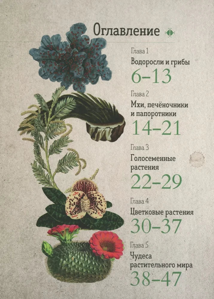 Ботаника в картинках null - 1