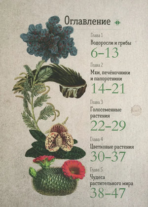 Ботаника в картинках null - 1