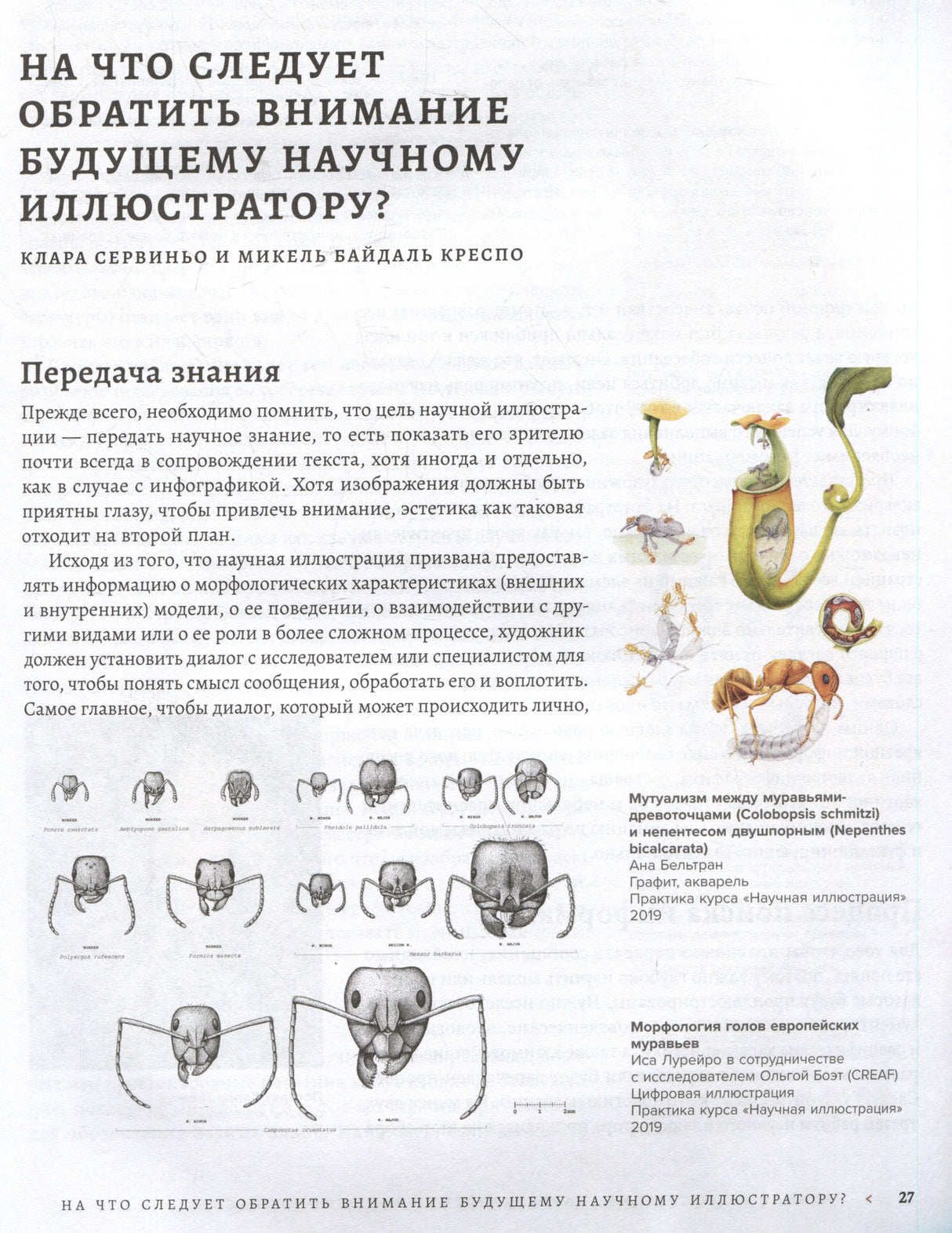 Профессия — Научный иллюстратор. Руководство по иллюстрации в биологии, археологии и палеоарте 9785041790875
