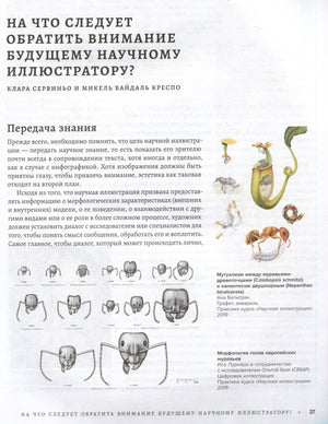 Профессия — Научный иллюстратор. Руководство по иллюстрации в биологии, археологии и палеоарте 9785041790875