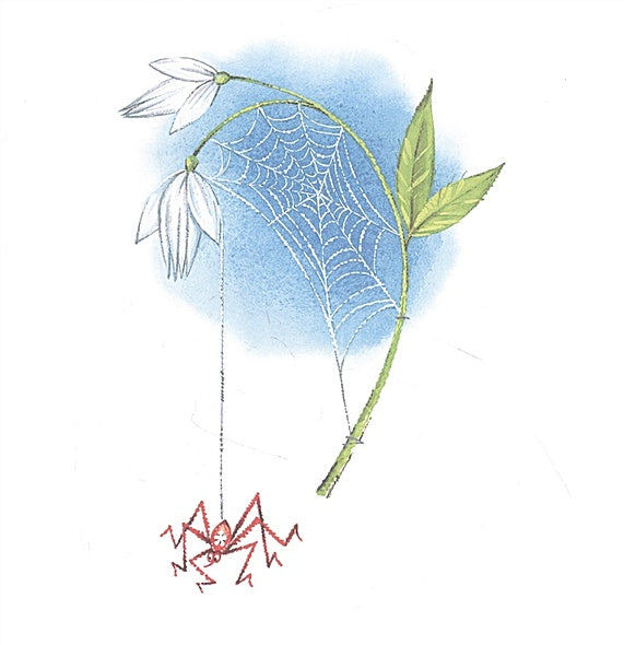 Колобок 978-5-17-147238-2 - 6