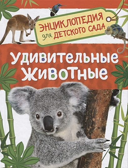 Обложка Удивительные животные (Энц-дия для детского сада) 978-5-353-08482-2