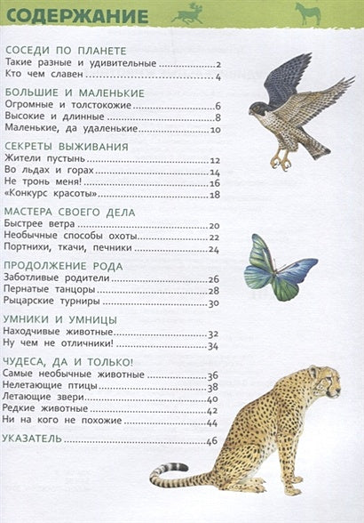 Удивительные животные (Энц-дия для детского сада) 978-5-353-08482-2 - 0