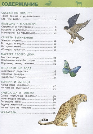 Удивительные животные (Энц-дия для детского сада) 978-5-353-08482-2 - 0