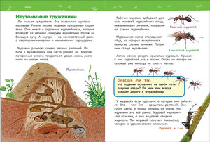 В лесу (Энциклопедия для детского сада) 978-5-353-09061-8 - 0