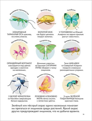 Детская энциклопедия насекомых null - 1