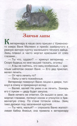 Паустовский К. Рассказы и сказки для детей 9785353111344